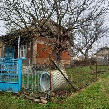 Будинок для проживання Товсте