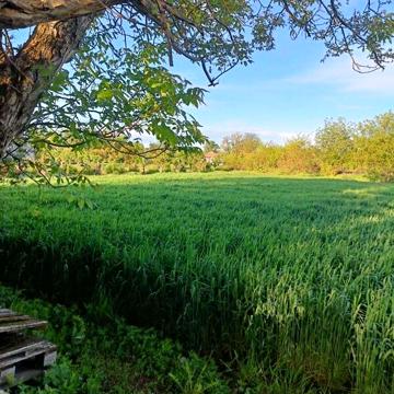 Продаж 2к Дім Молодіжна вулиця