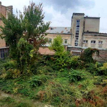 Продаж цілої будівлі під реставрацію вул. Спаська