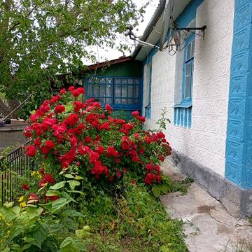 Будинок в мальовничому селі