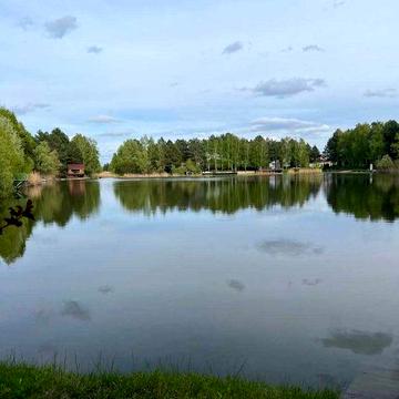 Продаж будинку Зазимье, на березі озера, ліс. Ексклюзивно. Без комісій