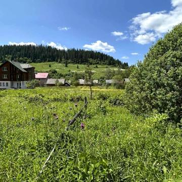 Волосянка, Стрийський, Львівська область 36000.0 USD