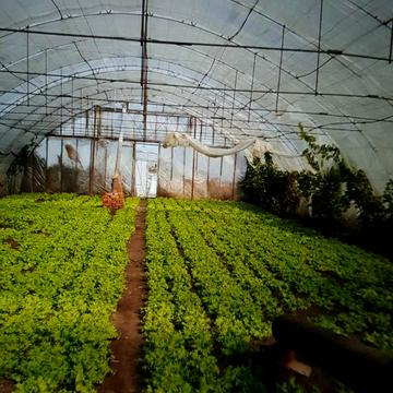 Львовская, 22