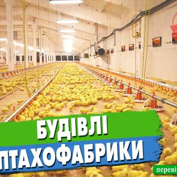 Зоряная, 10