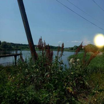 с. Петрушки вул Шеквченка 129м 15 сот