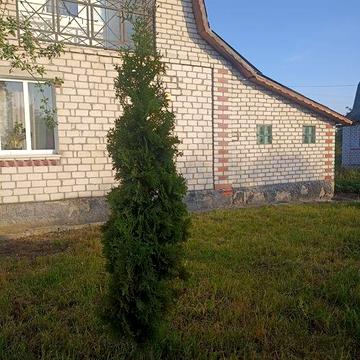 Продаж дачного будинку  постійного проживання з комунікаціямиРСТ "Чиж