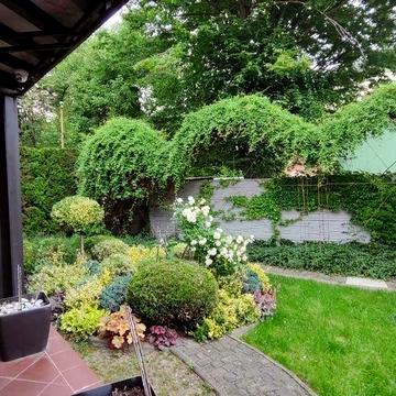 Оренда будинку в ЦЕНТРІ Чернівців