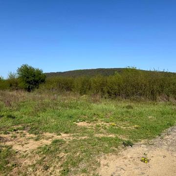 Нандора Плотені вул.