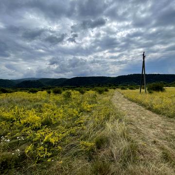 Невицьке, Ужгородський, Закарпатська область 200000.0 USD