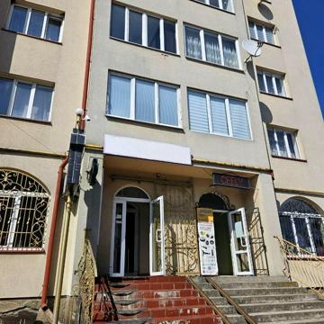 Симона Петлюри вул., 65а