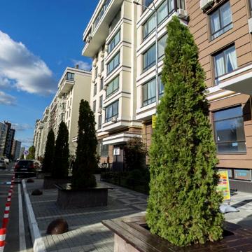 Тиводара Легоцького вул., 80