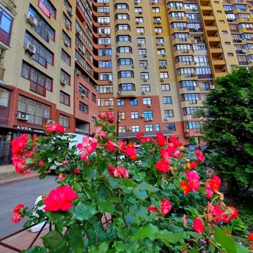ЖК Творець, вул. Євгена Коновальця (Щорса) 32-Б, м Печерська, 5 поверх