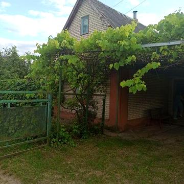 Продаж дачі в селі Петрик