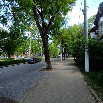 Продам 2 кв. на Адмиральском пр., окна на фасад, под сдачу, коммерцию!