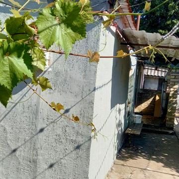 Продам газифікований будинок