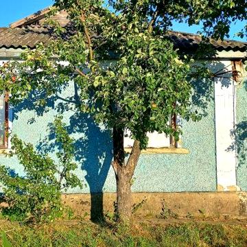 Продам дом с участком ст. Борщи