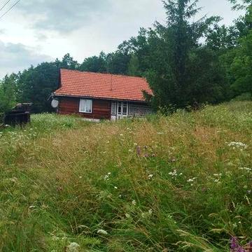 Будинок в гуцульському стилі.