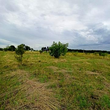 Байківці, Тернопільський, Тернопільська область 26000.0 USD