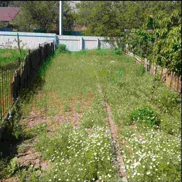 Полтавська область Терешки 2ком 4000