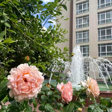 Академіка Шалімова вул., 65-А
