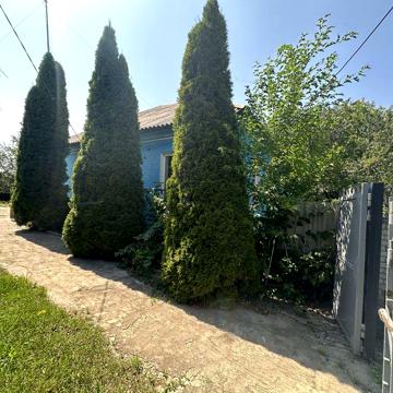 Продаємо будинок в центрі Коробочкіно