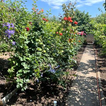 Дом- дача Алтестово