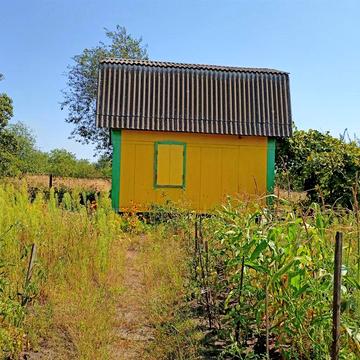 Дача в Заячих соснах.