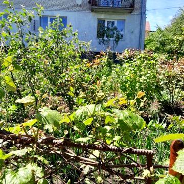 Квартира з автономним опаленням