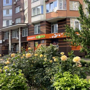 Урловская 38 2-х кімн ,Осокорки.Ремонт