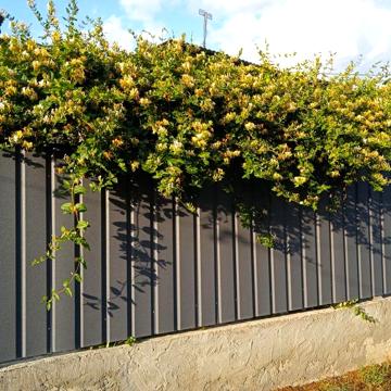 Продам будинок в центрі міста від власника