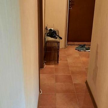 Довгострокова оренда 1к Квартира Григорʼєва Олега вулиця