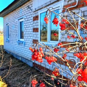 Лесі українки, 26
