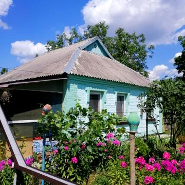 Зелена, 24