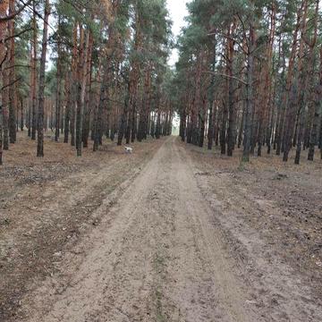 Дача Сосновое Матвеевка