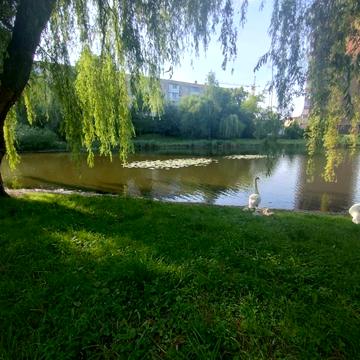 Миру просп., 24