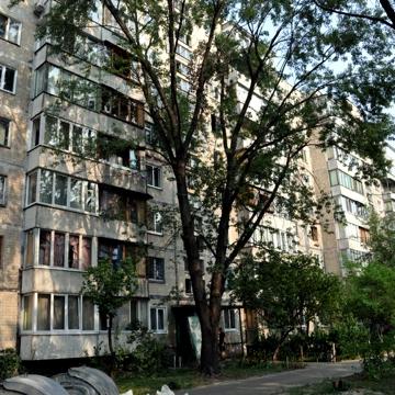 Шолом-Алейхема вул., 9