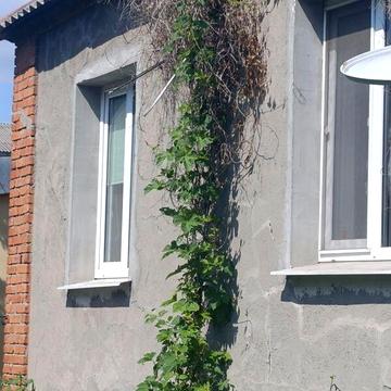 Продаж 3к Дім Новохарківська вулиця