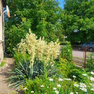 Продаж цегляного будинку з гарною земельною ділянкою, центр міста.