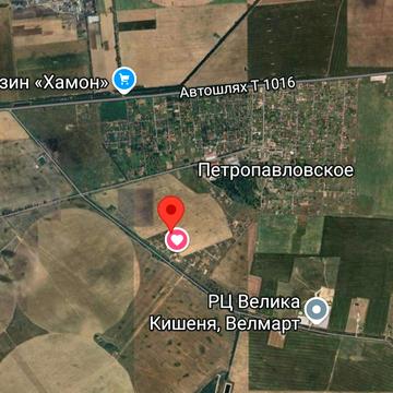 Петропавлівське (Петровське), Бориспільський, Київська область 4700.0 USD