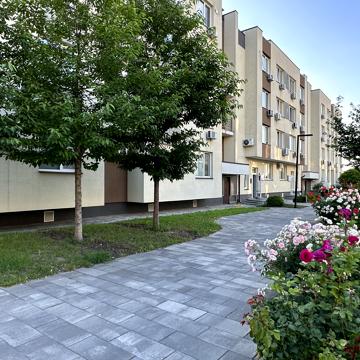 Березова вул., 43