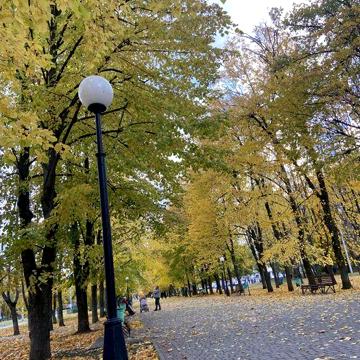 Аренда. Сдам 1 к кв Новые Дома