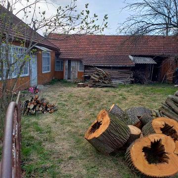 Будинок, господарська будівля, присадибна ділянка.
