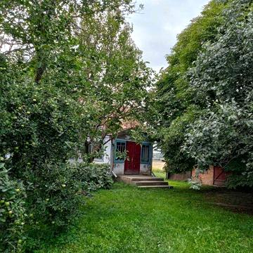 Продається приватний будинок з великою земельною ділянкою с. Грем’яче