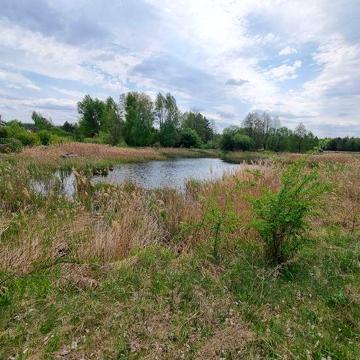 Дача озеро 22 сотки під Києвом село Миколаївка Українське Село