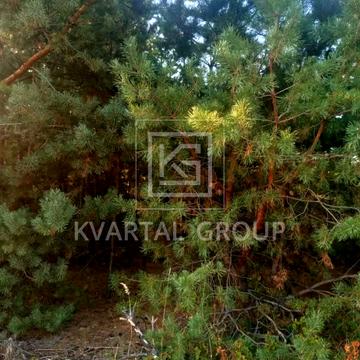 Центральна площа, Ірпінь, Бучанський, Київська область 50000.0 USD