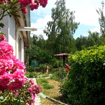 Здам дачу, без хазяїв