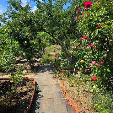 Продаж дачі в с.Черкас поруч з лісом