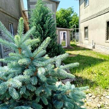 Два домика в районе пос. Котовского