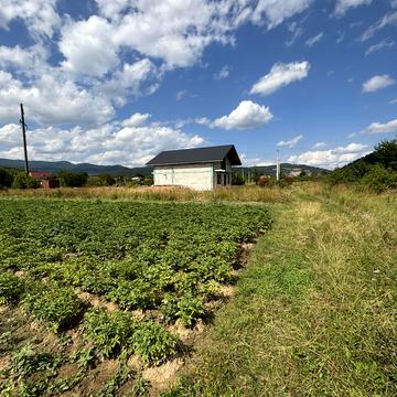 Невицьке, Ужгородський, Закарпатська область 20000.0 EUR