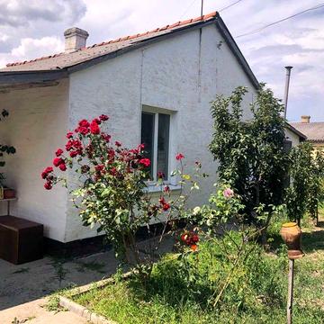 с. Фурси (м. Біла Церква) Київщина. Продаємо будинок поруч з містом.